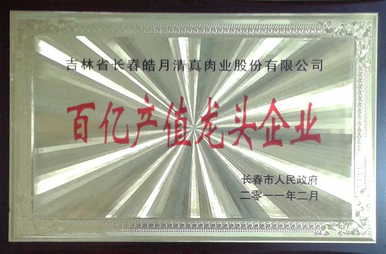 （260）201102长春市政府百亿产值龙头企业（牌）.jpg